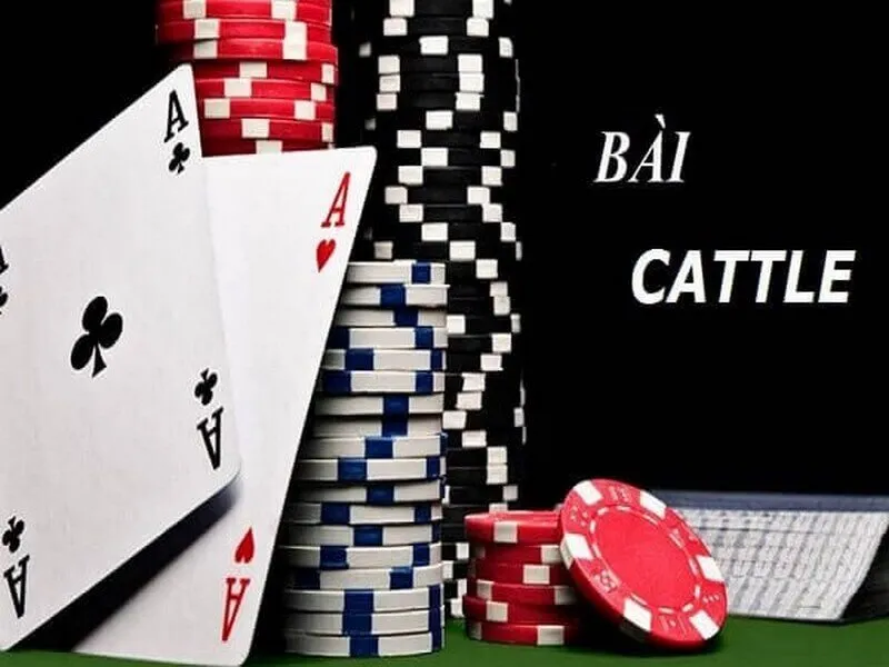 Bài Cát tê được đánh giá là trò chơi tương đối dễ, mang tính giải trí và rất dễ ăn